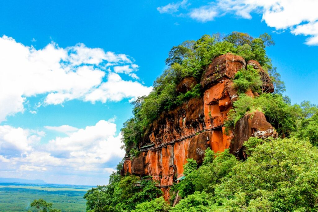 Phasellus et ligula rhoncus Phasellus et ligula rhoncus